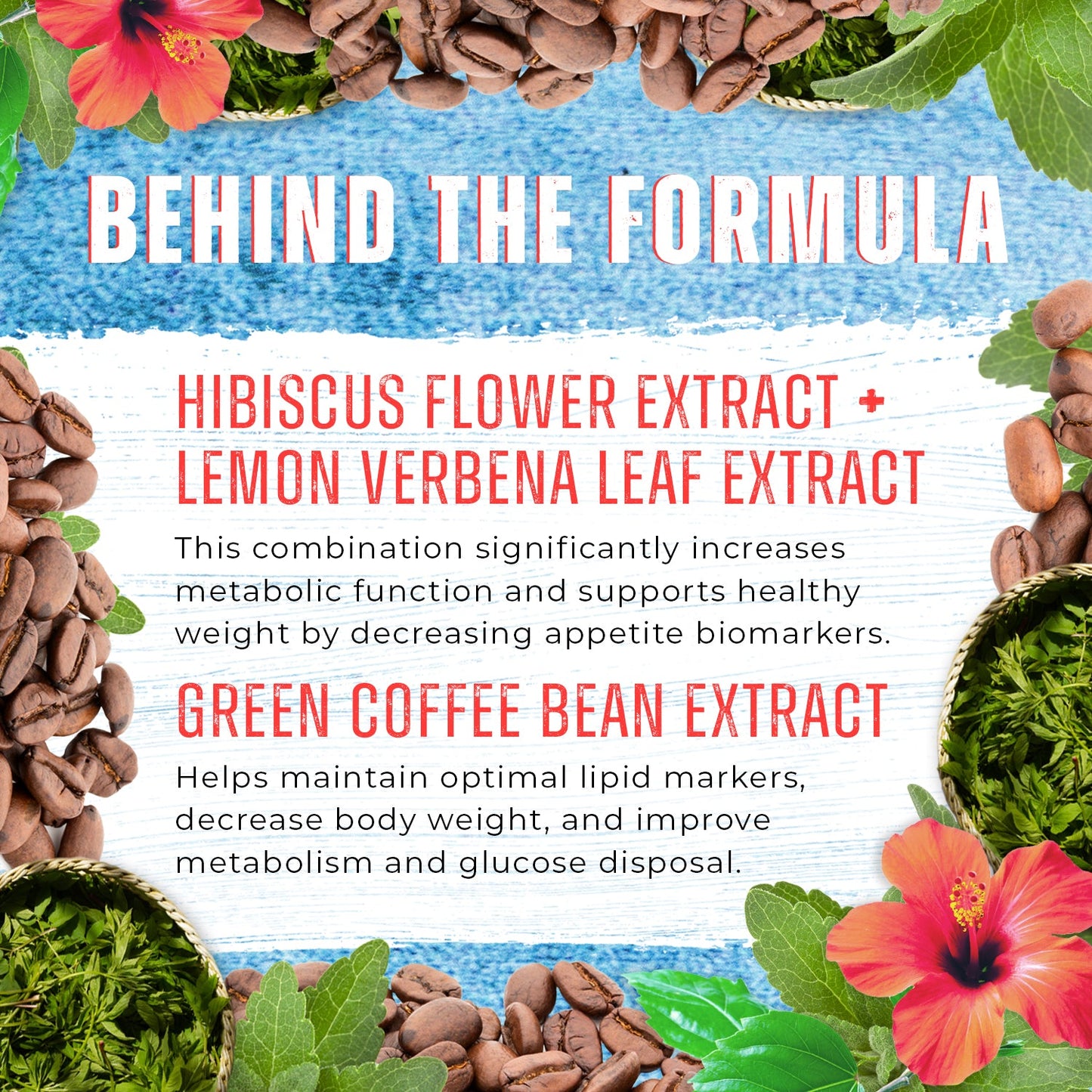 Empowered Meds Tampa Behind The Formula-TrimMax