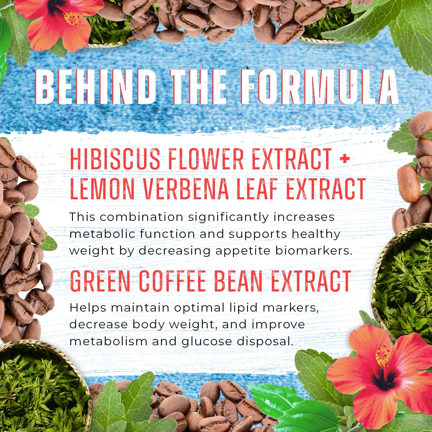 Empowered Meds Tampa Behind The Formula-TrimMax